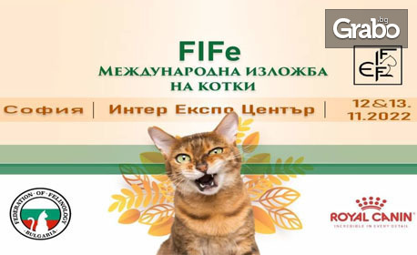 Еднодневен вход за Международна изложба на котки "All About Cats" - на 12 или 13 Ноември