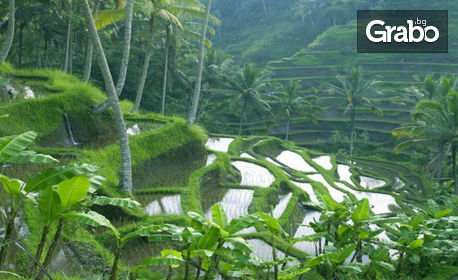 Посети Индонезия! 7 нощувки със закуски на остров Бали, плюс самолетен билет