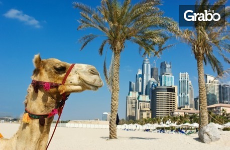 Екскурзия до Дубай: 4 нощувки със закуски и вечери в хотел Flora AL Barsha 4*, плюс самолетен транспорт