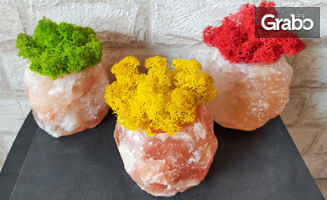 Солна кашпа от хималайска сол с неправилна форма, аранжирана с естествен скандинавски мъх