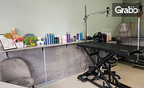 Цялостен груминг на куче