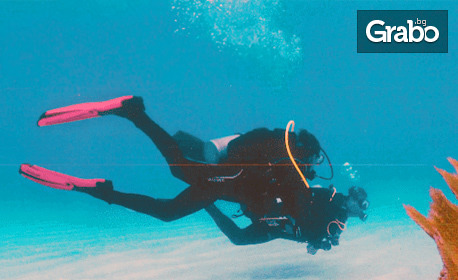 Пробно водолазно гмуркане Scuba Discovery в Созопол - с екипировка, инструктор и видеозаснемане