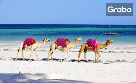 Почивка в екзотичен Египет: 7 нощувки на база All Inclusive в Xperience St. George Sharm El Sheikh****, плюс самолетен транспорт