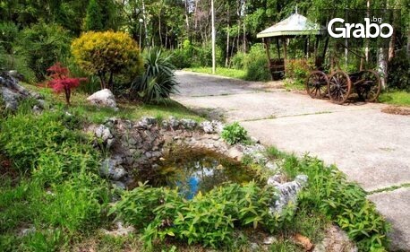 Сред горската прохлада на Дряново: Нощувка, с възможност за закуска, обяд и вечеря - в близост до Дряновски манастир