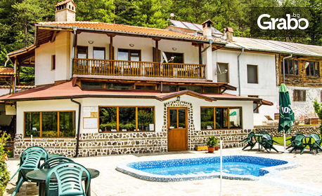Лято в Родопите: Нощувка в двойна стая или апартамент с три спални, плюс басейн - в с. Пловдивци