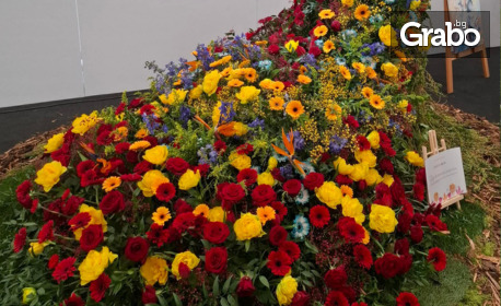 Виж Румъния през Април за Фестивал на лалето "Симфония на лалетата": 2 нощувки със закуски, плюс транспорт и посещение на Великденски панаир в Крайова