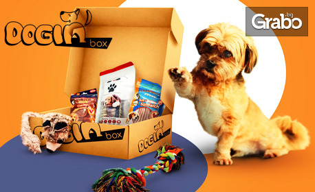 Dogin'BOX - персонализирани лакомства и играчки за вашето куче