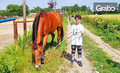 Забавление край Пловдив: 20 минути разходка с кон - за дете