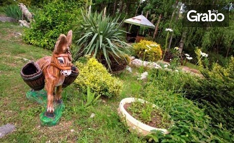 Сред горската прохлада на Дряново: Нощувка, с възможност за закуска, обяд и вечеря - в близост до Дряновски манастир