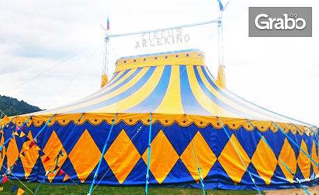Вход за спектакъл на Цирк Арлекино с 40 животни - от 3 до 27 Октомври