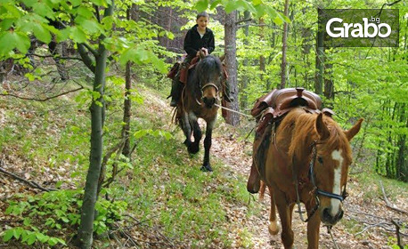 Екскурзия до Пловдив и района: 4 нощувки със закуски, обеди и вечери в Еко-Хотел Здравец***, парк Родопи, плюс транспорт