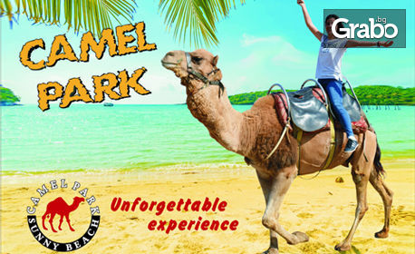 Забавление край Несебър! Вход за атракционен парк с камили, беседа и хранене на животните