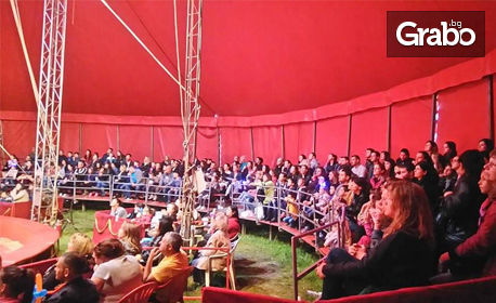 Вход за цирков спектакъл през Септември - в Дружба