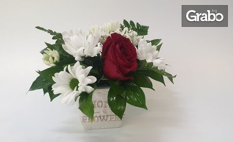 За Празника на жената! Аранжировка от червена роза, орхидея или лалета в керамична кашпа по избор