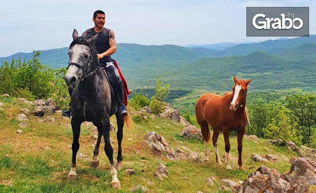 Забавление край Хасково: Урок по конна езда за начинаещи или свободна езда за напреднали - в с. Брястово