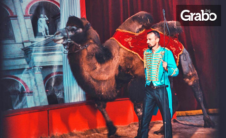 Цирк Колозеум гостува в София през Ноември: Вход за спектакъл на дата по избор