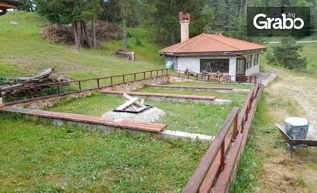 Почивка в сърцето на Родопите: Нощувка във вила за до 22 човека, в с. Борино