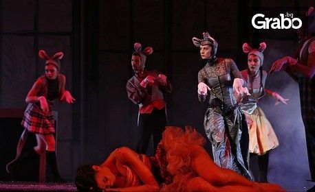 Балет Арабеск в съвременната танцова приказка за деца и възрастни "Лешникотрошачката" - на 5 Декември