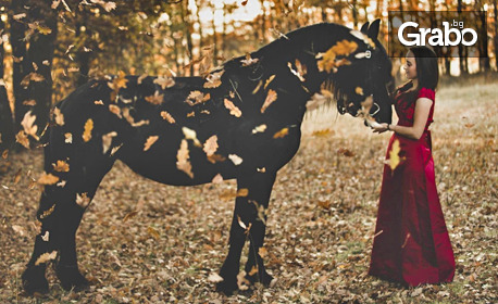 Нестандартна фотосесия с фризийски кон около София