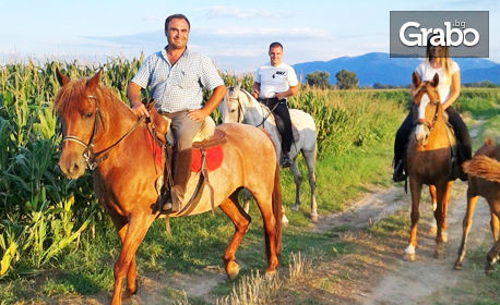 Забавление край Пловдив! Урок по конна езда или разходка с кон - за начинаещи или напреднали