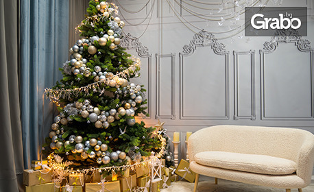 Коледна фотосесия с 6, 10, 15 кадъра на неограничен брой декори