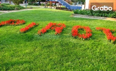 Предколедна шопинг екскурзия в Пирот: Нощувка със закуска, плюс транспорт
