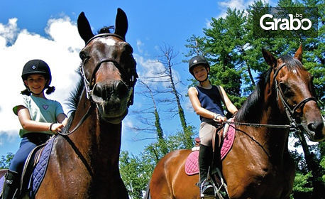 Три индивидуални урока по конна езда за деца с инструктор за 18лв, вместо за 36лв