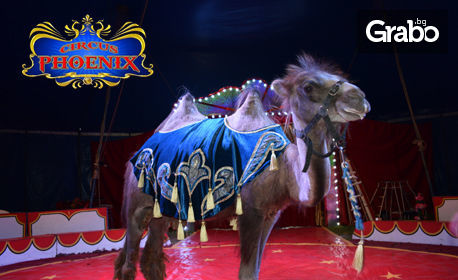 Вход за спектакъл на Цирк Феникс в Стара Загора - от 30 Септември до 5 Октомври