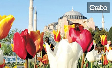 В Истанбул за Фестивала на лалето! 2 нощувки със закуски, басейн, сауна, транспорт и посещение на Принцовите острови