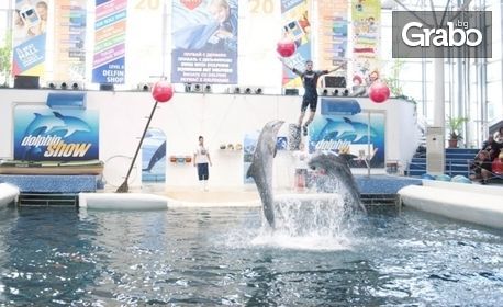 Вижте шоуто с делфини на Делфинариум Варна