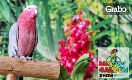 Вход за изложба на екзотични папагали в Mall Велико Търново