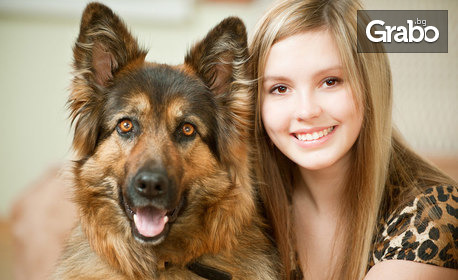 Цялостен груминг и озонотерапия - за всички породи кучета