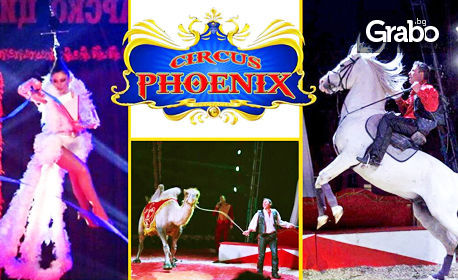 Вход за спектакъл на Цирк Феникс от 22 до 30 Юни
