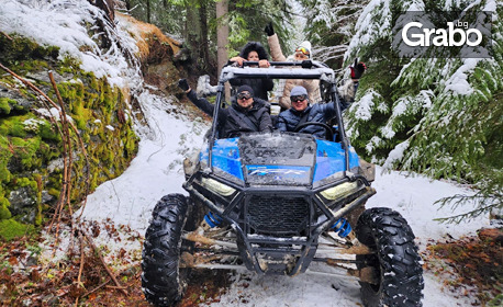 Снежно сафари в Родопите: 1 час тур с бъги за до 4 човека в Пампорово