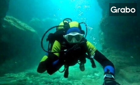 Открийте магията на подводния свят край Варна: Водолазно гмуркане с професионален инструктор Пламен Вукадинов, плюс снимки и видеокадри