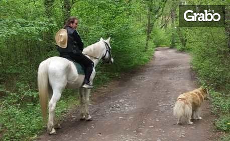 Конна езда в Долината на тракийските царе! Разходка или урок за до четирима, плюс фотозаснемане