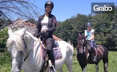 Разходка с кон или обучение по езда, плюс пикник край Боровец - за до двама възрастни с 2 деца