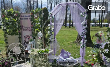 Виж Румъния през Април за Фестивал на лалето "Симфония на лалетата": 2 нощувки със закуски, плюс транспорт и посещение на Великденски панаир в Крайова