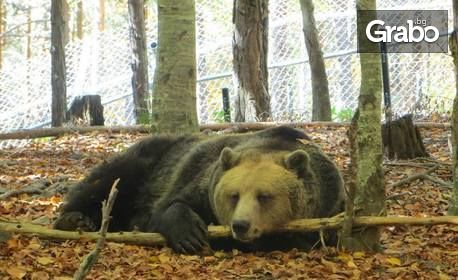 Еднодневна екскурзия до Белица и Добърско на 20 Април, с посещение на Парка за танцуващи мечки