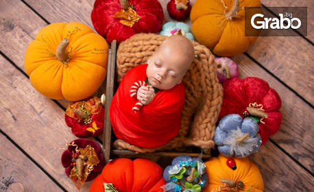 Отпразнувай новия живот: Фотосесия на новородено бебе - с 10 обработени кадъра