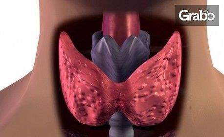 Преглед при ендокринолог, плюс ехография на щитовидна жлеза