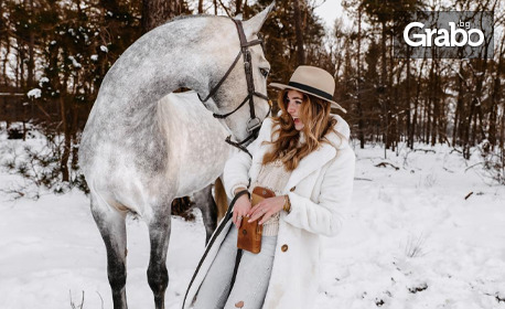 Подарете си незабравима фотосесия с величествени коне - с възможност за фотограф и 15 обработени кадъра