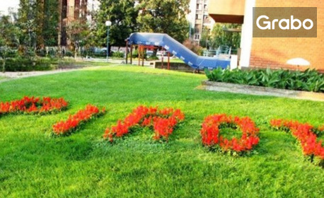 Посрещни Нова година в Пирот: 2 нощувки със закуски и празнична вечеря, плюс транспорт