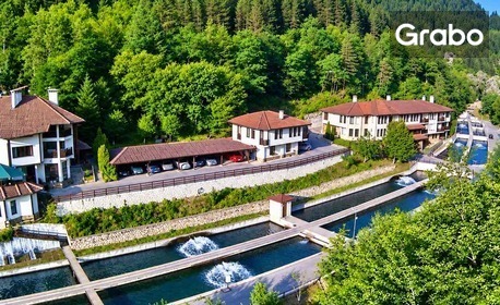 Почивка край Девин: Нощувка на база All Inclusive Light, плюс ползване на минерален басейн и релакс зона, в с. Беден