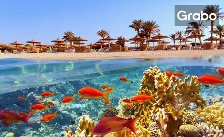 Ранни записвания за екскурзия до Египет: 5 нощувки на база All Inclusive в Royal Lagoons Resort & Aqua Park Families and Couples Only, плюс самолетен транспорт