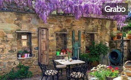 Ранни записвания за 10-дневна екскурзия до Егейска Турция: 9 нощувки - 7 от които All Inclusive, плюс транспорт без нощен преход