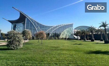 8 Март в стил SPA лукс! Уикенд бягство и релакс в Терме Букурещ: Нощувка със закуска и вечеря, плюс транспорт