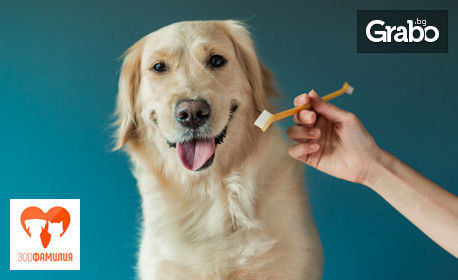 Почистване на зъбен камък на куче, плюс преглед и продукт за домашна грижа