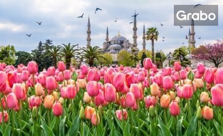 Уикенд в Истанбул - през Август и Септември: 2 нощувки със закуски, плюс транспорт и посещение на Одрин