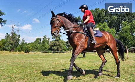 30-минутен урок по конна езда с треньор - за начинаещи или напреднали, в с. Герман